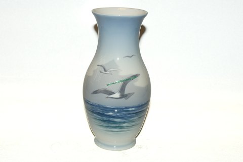 item no: 100204