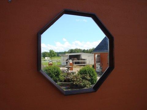 Bestellnummer: 107898