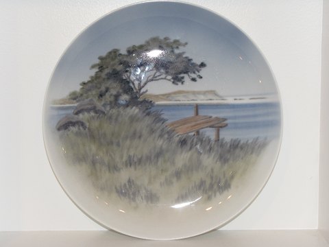 item no: 113377