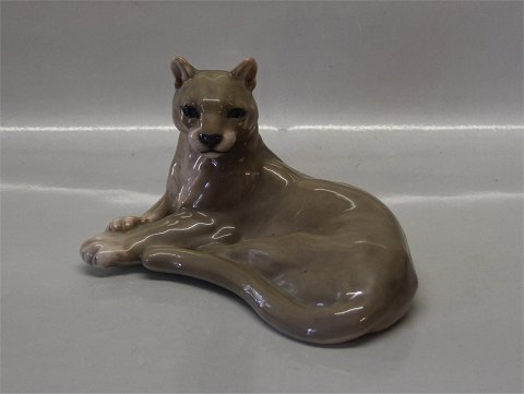 Kongelig Dansk 1482 Kgl. Bjergløve - Puma 11 x 19 cm Peter Herold 1913