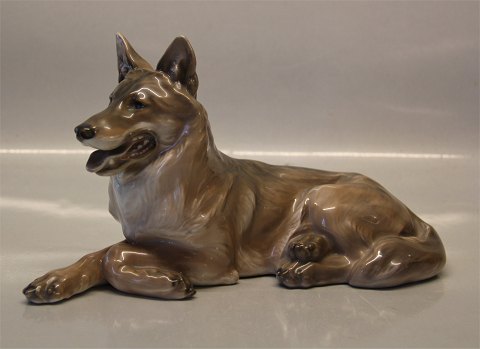 Royal Copenhagen figurine 1798 RC Belgian Shepherd Reclining 11 x 24 cm Peter Herold 1916 