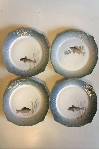 Set of 12 Royal Copenhagen Art Nouveau Fisk Service plates with Fish bordr No 3002