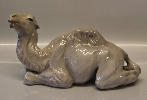 Royal Copenhagen figurine 826 RC Camel 19 x 30 cm Knud Kyhn 1907