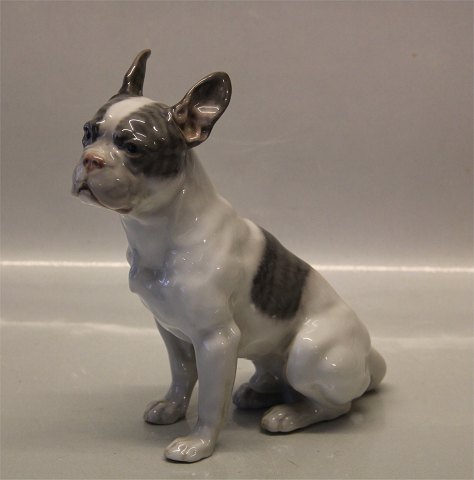 Royal Copenhagen figurine 1466 - 1452 RC French Bulldog sitting 20 x 18 cm Lauritz Jensen 1913