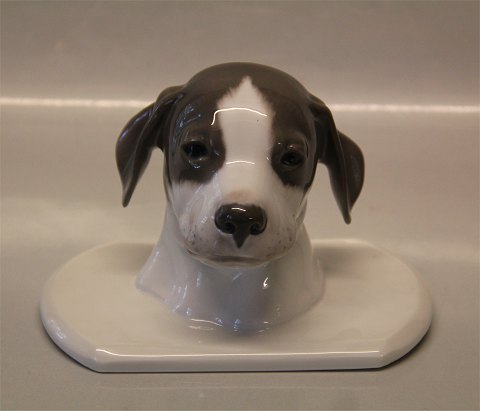 Royal Copenhagen figurine  Unique paperweight 1919 Pointer head after 260 11 x 11 x 16 