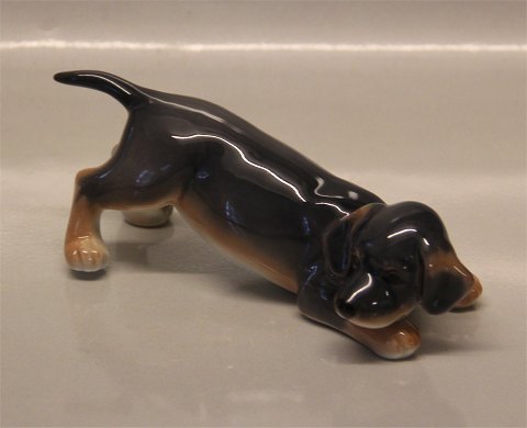 Kongelig Dansk 0681 Kgl. Gravhundehvalp 6 x 16 cm # 1249681 