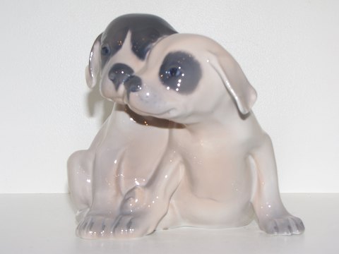 Royal Copenhagen figurTo pointer hvalpe