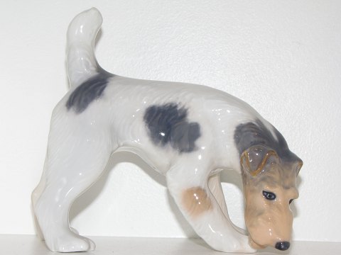 Royal Copenhagen figurRuhåret terrier