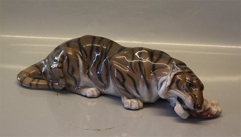 Royal Copenhagen 2065 RC Tiger gnawing a bone. 36 cm Peter Herold 1919