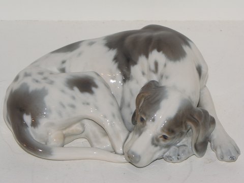 Dahl Jensen figurLiggende jagthund