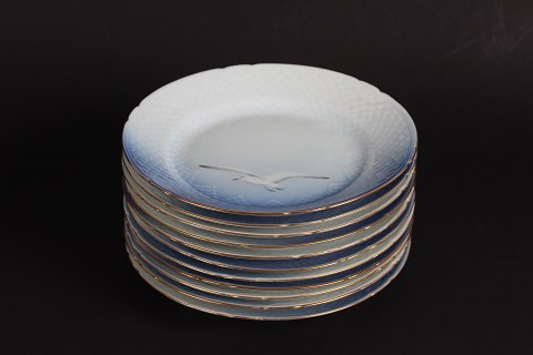 item no: 244734