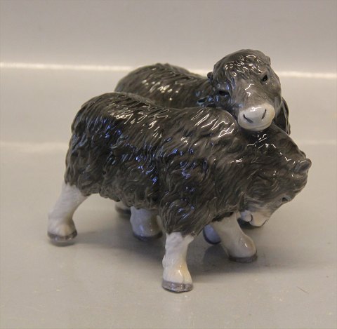 Royal Copenhagen figurine 0326 RC two Musk ox calves 11.5 x 13 cm (1249326) Allan Therkelsen Motherly Love