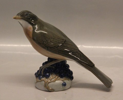Royal Copenhagen 1235 RC Redwing Ingeborg Nielsen 1911 15 x 13 cm (Turdus iliacus)