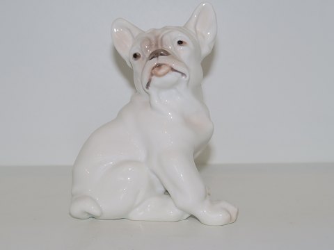 Bing & Grøndahl figurBulldog hvalp