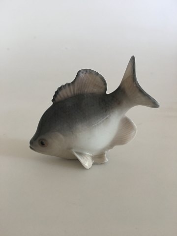 Royal Copenhagen Figur af Fisk - Aborre No. 2553