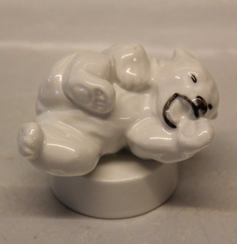 Royal Copenhagen Art Pottery 0232 RC  (1003232) White Polar bear on the side on round base 7 x 10 cm KK (21432 ) (0332)