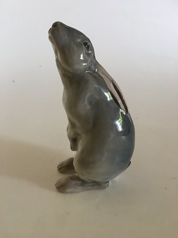 Royal Copenhagen Figur Tiggende Kanin No 504.
