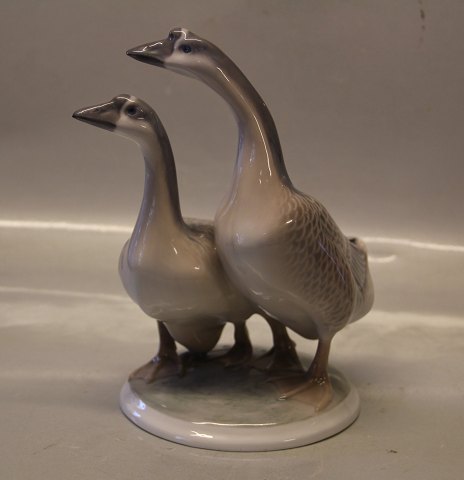 Kongelig Dansk 2068 Kgl. Gæs 19 x 21 cm Peter Herold 1919