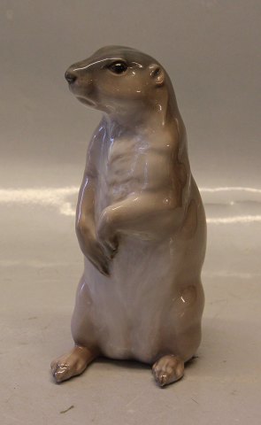 Kongelig Dansk  1096 Kgl.  Præriehund 20 x 11 cm 1909 (Marmot Brossemins)