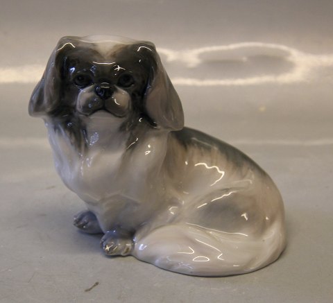 Sjælden Hund Kongelig Dansk 1772 Kgl. Pekingeser 12 x 12 cm 1452 Variation Peter Herold