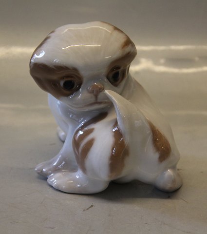 Royal Copenhagen figurine 0445 RC Orange Old Peke puppy Designed by Erik Nielsen in 1903 Color: 1453