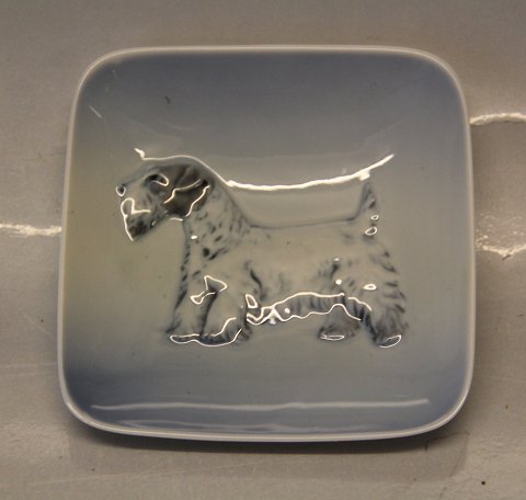 Kongelig Dansk 3661 Kgl Hundeskål Sealyham Terrier 10.5 x 10.5 cm