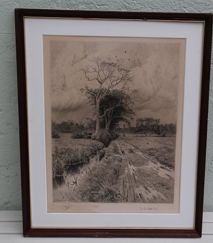 Radering Peder Mønsted 1900 Landskab Prøvetryk nr 2   53 x 42.5 cm inklusiv træramme