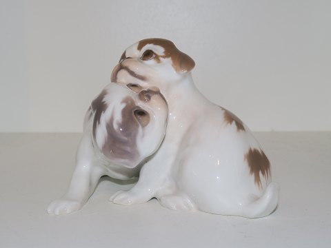 Sjælden Bing & Grøndahl figurTo pekingesere