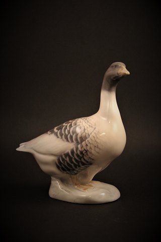 Royal Copenhagen porcelæns figur af en gås. H:13cm.RC# 1088.