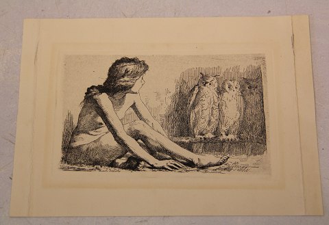 Frans Schwartz 1850-1917, Painter and etchings # 107. 1901 The girl with owls Plate measure  10 x 15.5 cm