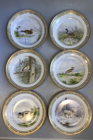 Royal Copenhagen Flora Danica/Fauna Danica Animal Luncheon Plates No 240/3550 (Set of 12)