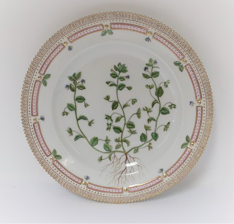 Royal Copenhagen, Flora Danica. Middags tallerken. Design #3549. Diameter 25 cm. (1 sortering). Veronica agrestis L