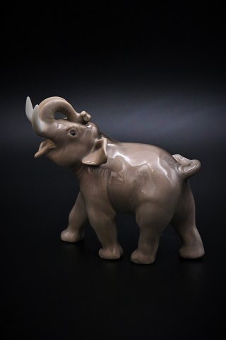 Royal Copenhagen porcelæns figur af lille elefant , design af Knud Kyhn.H:11cm. L:12cm.RC# 2998.