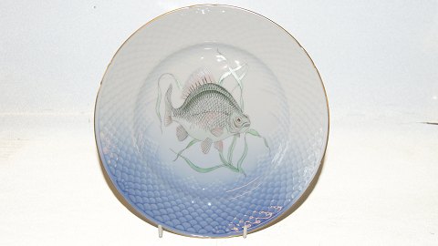 item no: 456284