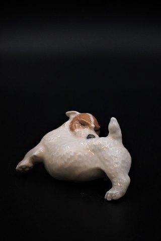Royal Copenhagen porcelænsfigur sealyham terrier.RC# 3087. 1. sort. L:10cm.