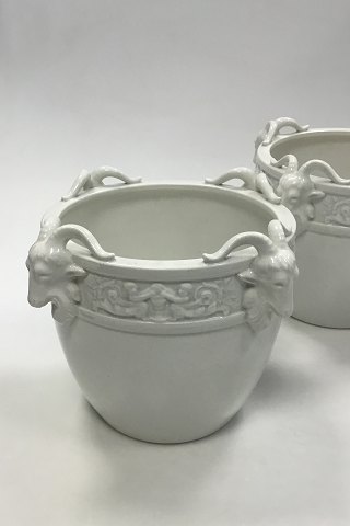 Villeroy & Boch Sæt på 2 urtepotteskjulere af hvid fajance. Dekoreret med vædderhoveder