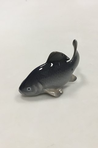Royal Copenhagen Figur af fisk - Karusse No. 2414