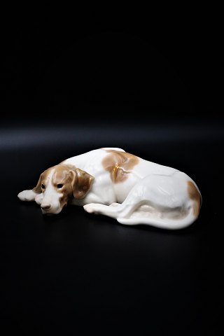 Bing & Grondahl porcelain figure of a Pointer dog.Design Laurits Jensen. B&G# 2044. 1.sort. L:24cm. H:6,5cm.