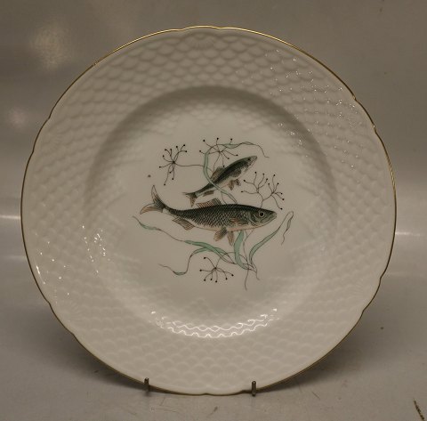 025 Dinner plate 24 cm with fish no. 1. Herring SILD  (325) Hostrup B&G  Hostrup Porcelain White with gold rim