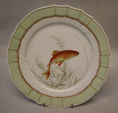 919-1710 Rimte eller emde Leuciscus idus  svejfet med grøn bort 25.5 cm Royal Copenhagen Svejfet Fisketallerken