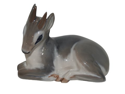 Royal Copenhagen figurRålam eller dådyr