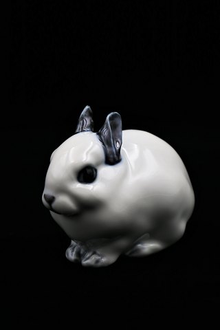 Royal Copenhagen porcelænsfigur af lille kanin.RC#154. 2.sort. H:7cm. L:9cm.