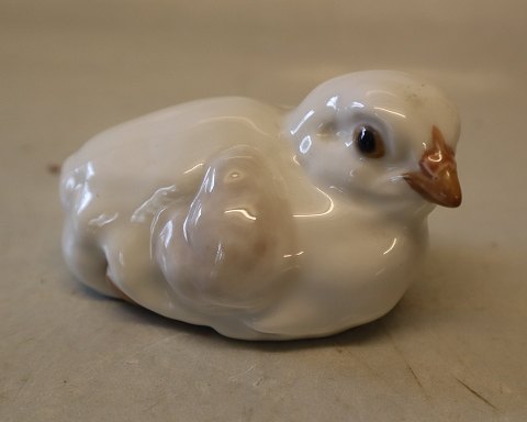 0605 RC Chicken squatting A. Nielsen (AP) 1904 5 x 8 cm Royal Copenhagen bird figurine 