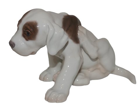 Sjælden Bing & Grøndahl figurPointer hvalp der klør sig