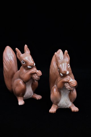 Bing & Grondahl porcelain figurine of a squirrel.H:14 cm. B&G 2474.