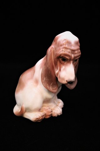 Dahl Jensen porcelæns figur af Basset Hound.H:14cm. Mærket Kongelig krone / DJ 1065. ...
