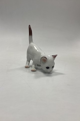 Bing og Grøndahl Figur Kat/Killing No. 2507