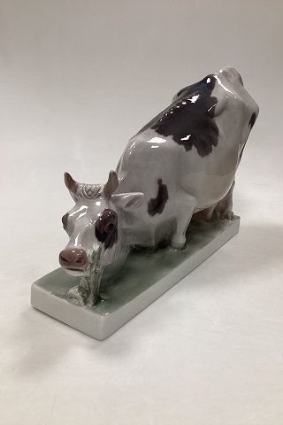 Sjælden Bing og Grøndahl Figur Knælende Ko på base32 cm x 20,5 c