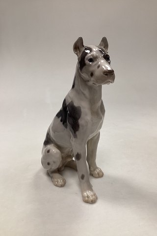 Bing og Grøndahl Figur af Siddende Grand Danois Hund No 2038