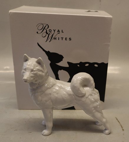 0353 Royal Whites Siberisk Husky/Spitz Grønlandsk hund 14 x 16 cm  (2670038)  Design Pia Langelund Kongelig Dansk porcelæn